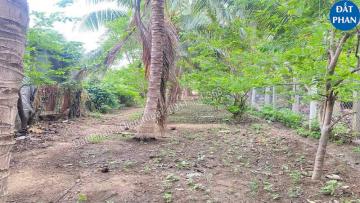 512m2 đất mặt tiền sông dinh phan rang giá chỉ 650 triệu thương lượng